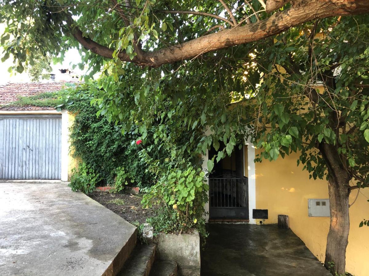 Casa Casillas Villa La Parra  Exterior photo